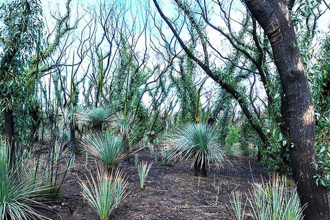 NEW TOUR - Kangaroo Island Road To Recovery Tour (1 Day/1 Night) - Holiday Find 4