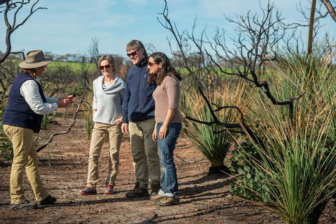 NEW TOUR - Kangaroo Island Road To Recovery Tour (1 Day/1 Night) - Holiday Find 0