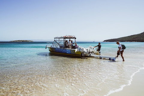 Sea & Explore Wineglass Bay & Freycinet National Park - Cruise & Walk - Holiday Find 3