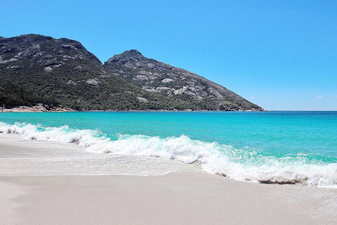 Sea & Explore Wineglass Bay & Freycinet National Park - Cruise & Walk - Holiday Find 4