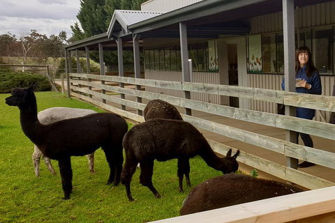 Yarra Valley Farmgate Tours - Holiday Find 4
