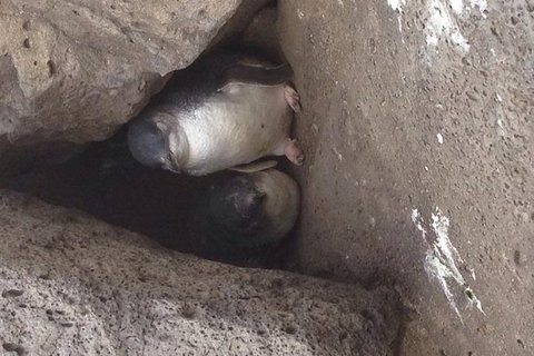 Food Tour Melbourne - St Kilda - Holiday Find 4