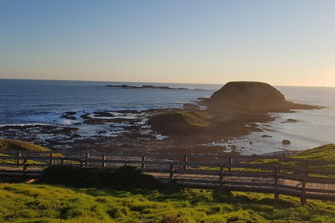 Phillip Island Private Experience - Holiday Find 11
