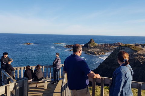 Phillip Island Private Experience - Holiday Find 24