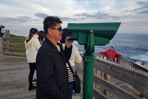 Phillip Island Private Experience - Holiday Find 14