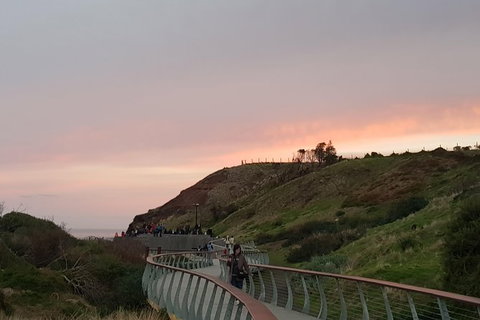 Phillip Island Private Experience - Holiday Find 25