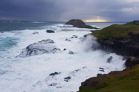 Phillip Island Private Experience - Holiday Find 18