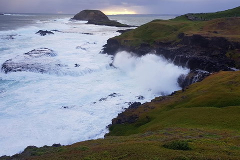 Phillip Island Private Experience - Holiday Find 5