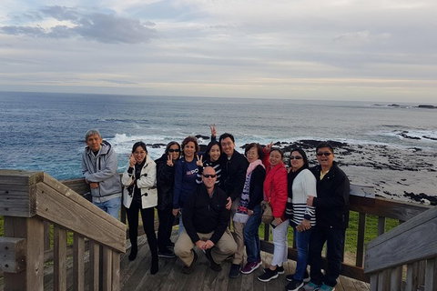 Phillip Island Private Experience - Holiday Find 16
