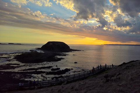 Phillip Island Private Experience - Holiday Find 15