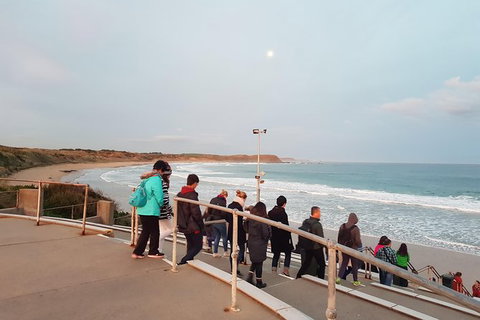 Phillip Island Private Experience - Holiday Find 4