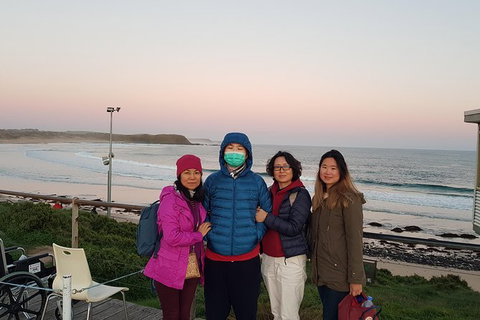 Phillip Island Private Experience - Holiday Find 9