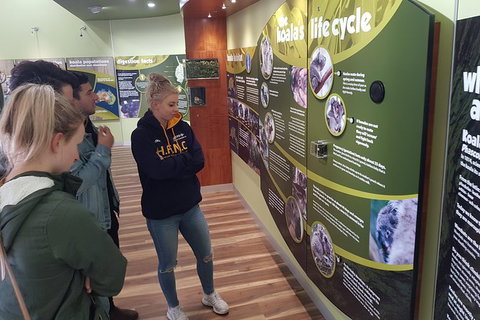 Phillip Island Private Experience - Holiday Find 10