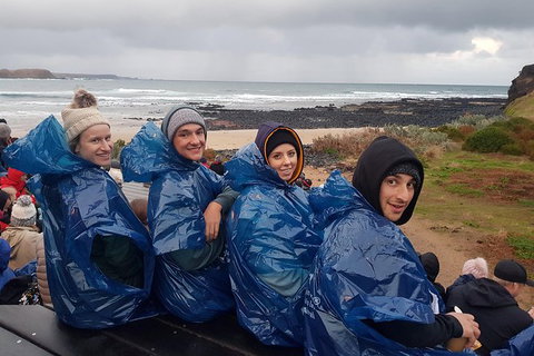 Phillip Island Private Experience - Holiday Find 20