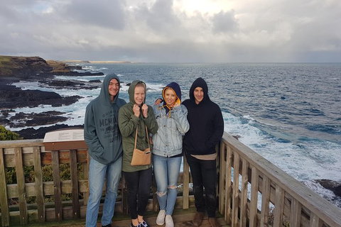 Phillip Island Private Experience - Holiday Find 19