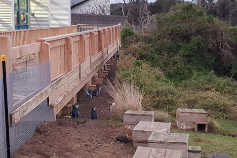 Phillip Island Private Experience - Holiday Find 13