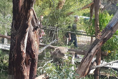 Phillip Island Private Experience - Holiday Find 7