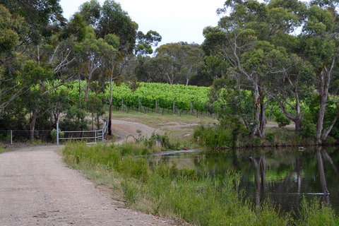 Yarra Valley Private Car Winery Tour And Chocolate.1-7 Passengers One Car Price - Holiday Find 8
