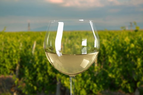 Yarra Valley Private Car Winery Tour And Chocolate.1-7 Passengers One Car Price - Holiday Find 2