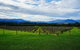 Yarra Valley Private Car Winery Tour And Chocolate.1-7 Passengers One Car Price - thumb 4