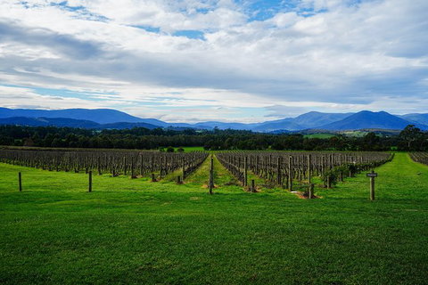 Yarra Valley Private Car Winery Tour And Chocolate.1-7 Passengers One Car Price - Holiday Find 4