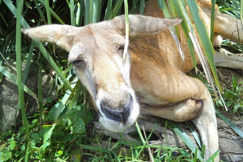Peninsula Nature Tour - Holiday Find 7