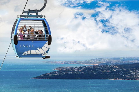 Peninsula Nature Tour - Holiday Find 3