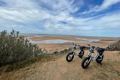 E-Bike Hire Super Cruzer In Phillip Island - Holiday Find 3