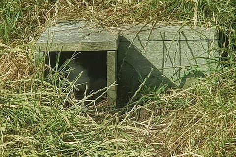 Phillip Island Penguin And Wildlife Tour - Holiday Find 11