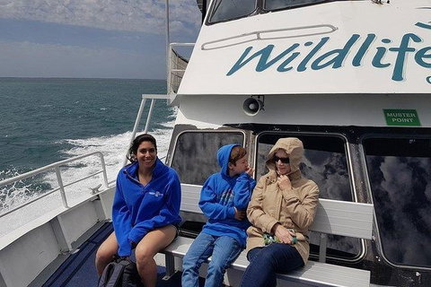 Phillip Island Penguin And Wildlife Tour - Holiday Find 15