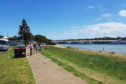 Phillip Island Penguin And Wildlife Tour - Holiday Find 25