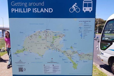 Phillip Island Penguin And Wildlife Tour - Holiday Find 28