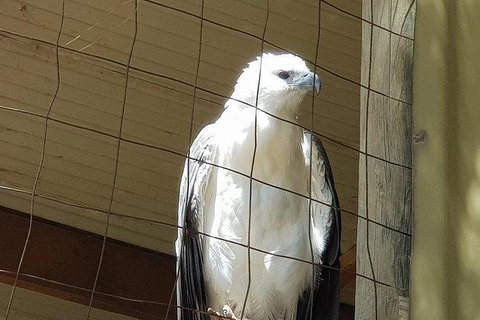 Phillip Island Penguin And Wildlife Tour - Holiday Find 21