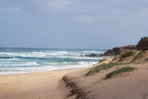 Phillip Island Penguin And Wildlife Tour - Holiday Find 10