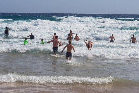 Phillip Island Penguin And Wildlife Tour - Holiday Find 18