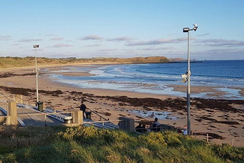 Phillip Island Penguin And Wildlife Tour - Holiday Find 8