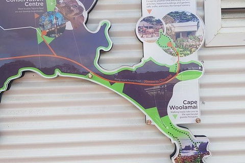 Phillip Island Penguin And Wildlife Tour - Holiday Find 29