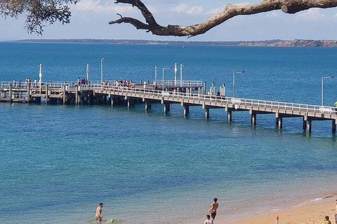 Phillip Island Penguin And Wildlife Tour - Holiday Find 2