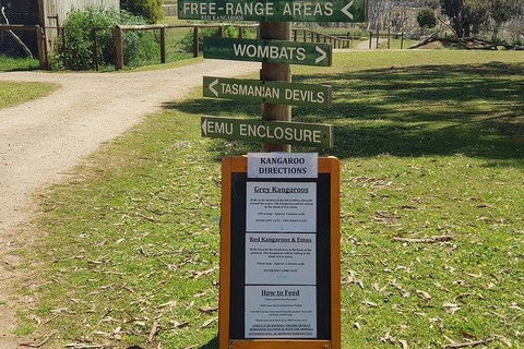 Phillip Island Penguin And Wildlife Tour - Holiday Find 4