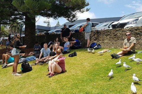 Phillip Island Penguin And Wildlife Tour - Holiday Find 22