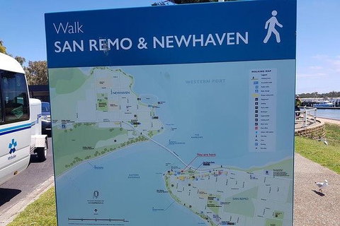 Phillip Island Penguin And Wildlife Tour - Holiday Find 35