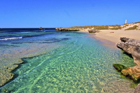 Rottnest Island Settlement Explorer Segway Package From Perth - Holiday Find 3
