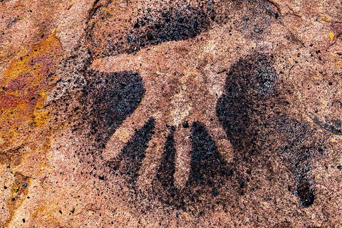 Wandjina Explorer - Incredible Kimberley Coast Tour - Holiday Find 8