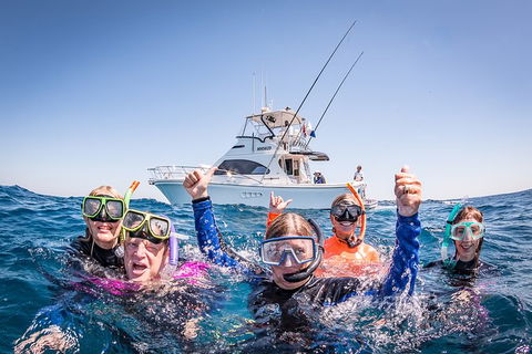 Life On Ningaloo Swimming Tour In Exmouth - Holiday Find 4