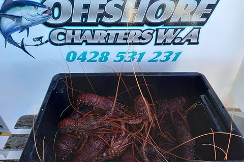 Lobster Fishing Tour At Geraldton - Holiday Find 0