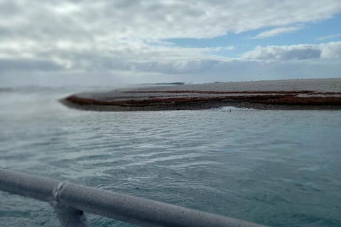 Abrolhos Islands Fishing Charter - Holiday Find 6