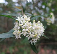 Booderee National Park - Holiday Find