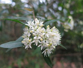 Booderee National Park - Holiday Find 0