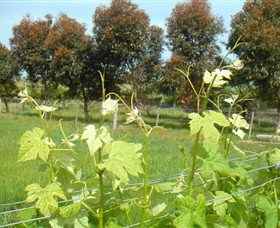 Pirron Yallock VIC Holiday Find