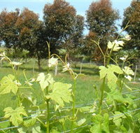 Barwon Ridge Wines - Holiday Find